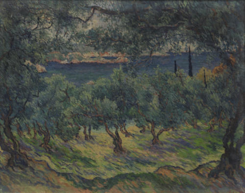 Olive trees in Corfu, 1952