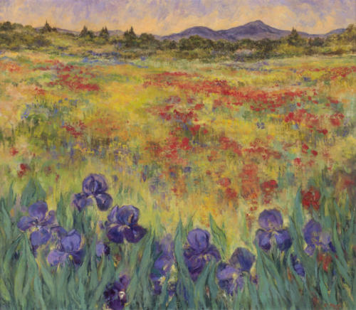 Field with poppies and irises, 1968