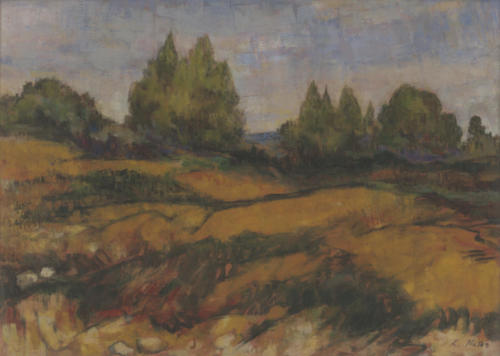 Slope of Halkidiki (autumnal), 1982